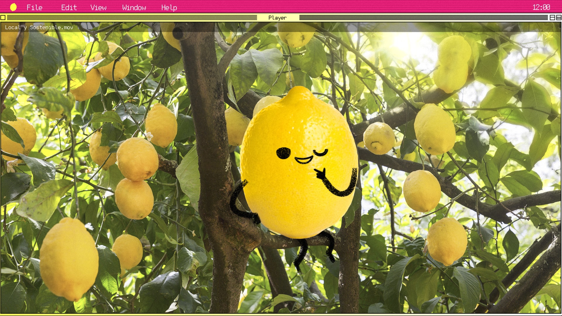 Lemon Age